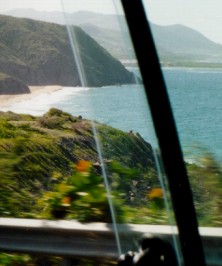 turtledrive2.jpg 222x266